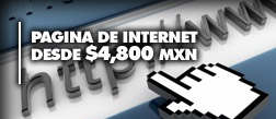 Paginas de Internet Profesionales